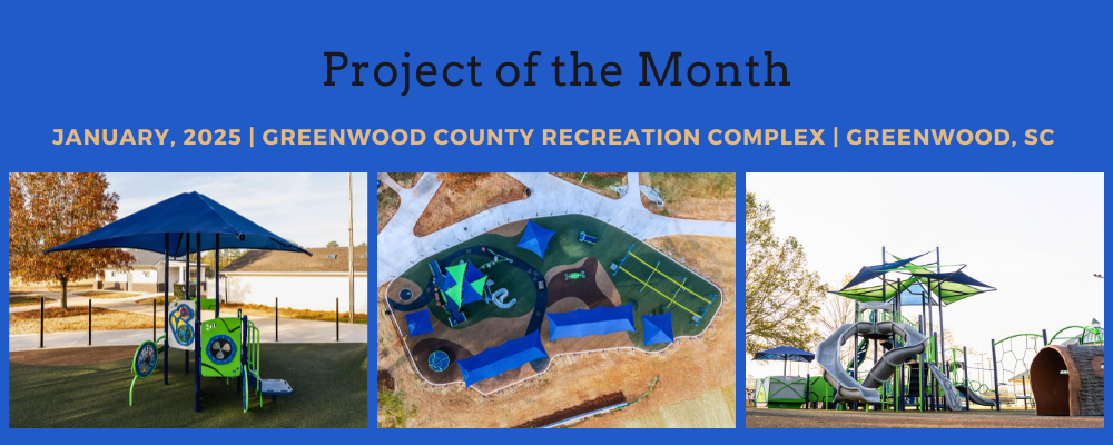 Project of the month- Jan